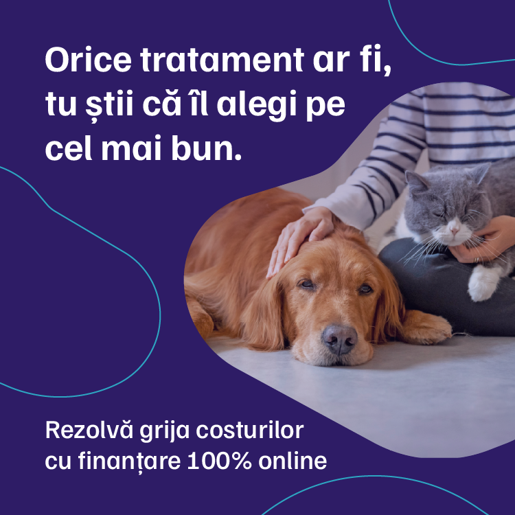 BTD PartnerVet Index Mobil